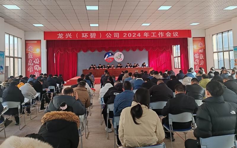 龙兴（MK体育（中国））公司召开2024年工作会议