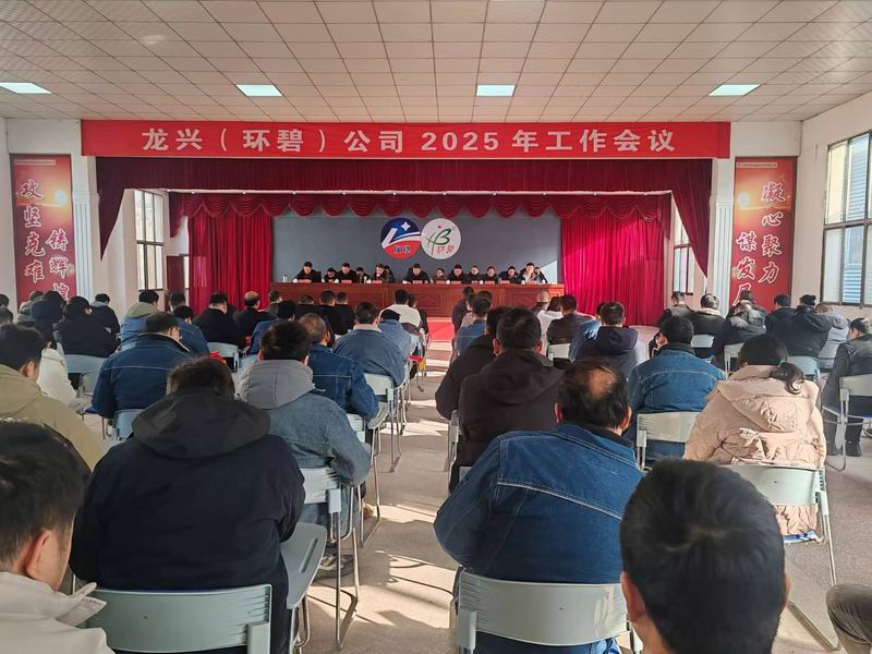 龙兴（MK体育（中国））公司召开2025年工作会议